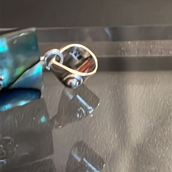 Abalone shell pit in Sterling silver with sterling silver accents - Picture 4 of 6